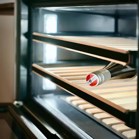 Haus Am Lift - Top2 - Summercard Included - Ski-in Ski-out - 6p * زيل أم سي